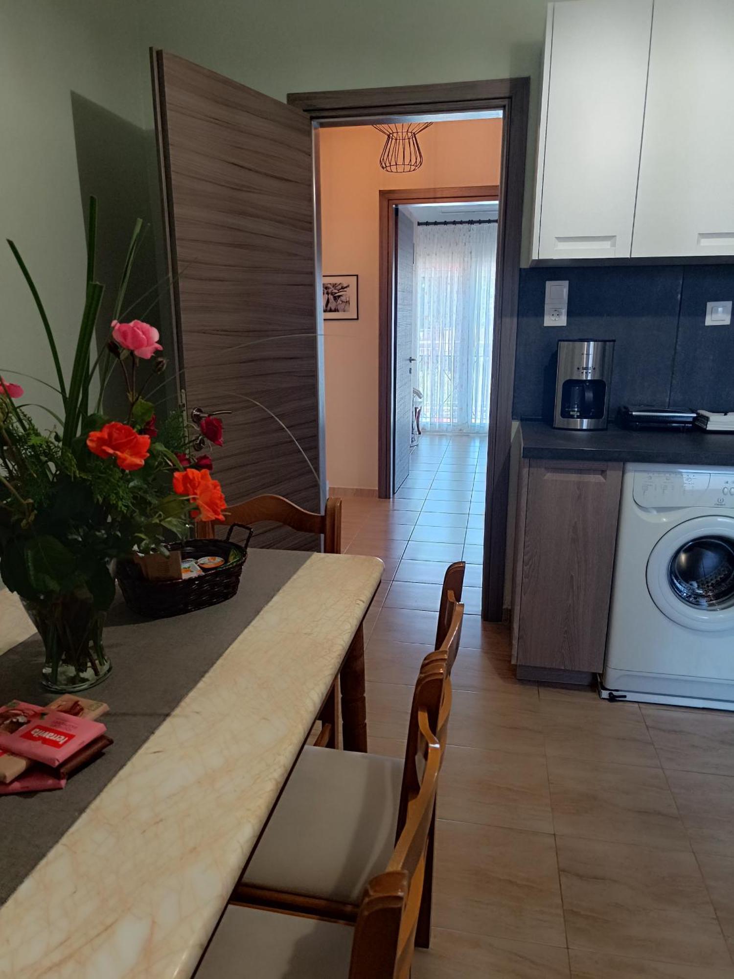 Panos House - High Luxury Apartment 特里卡拉 外观 照片